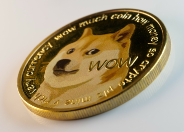 What If Dogecoin Skyrockets? Here’s How Much $100 in DOGE Could Be Worth